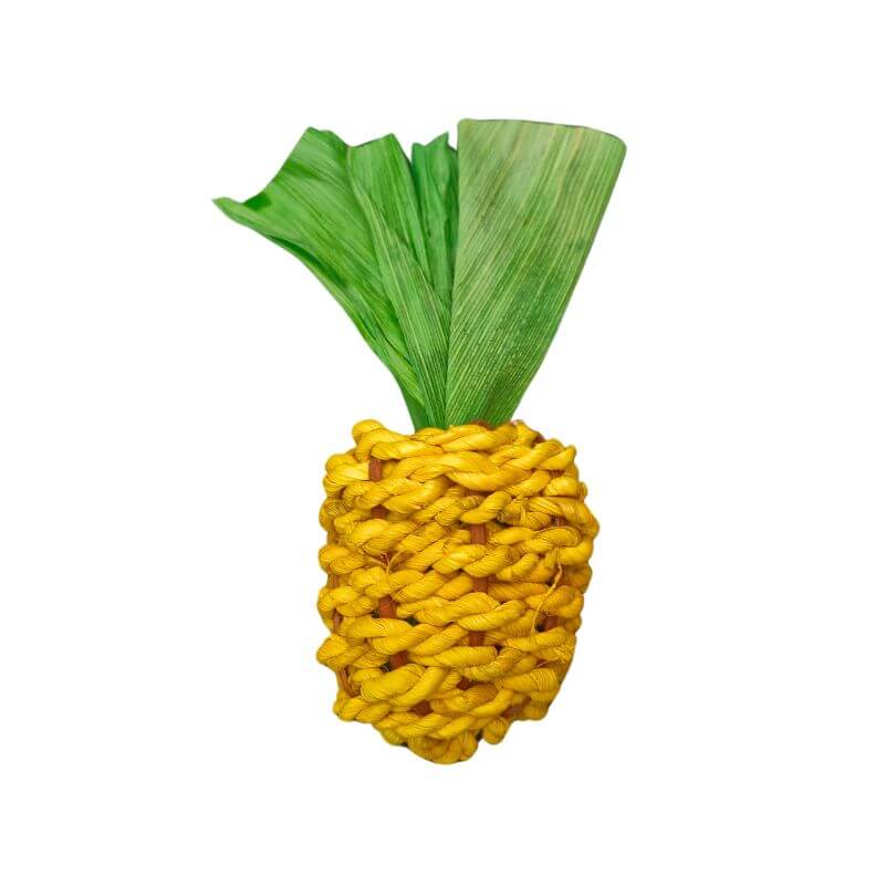 Woven Pineapple Foot Toy