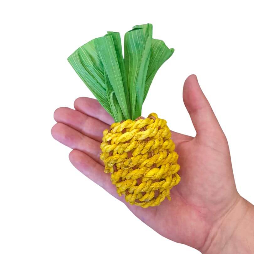 Woven Pineapple Foot Toy