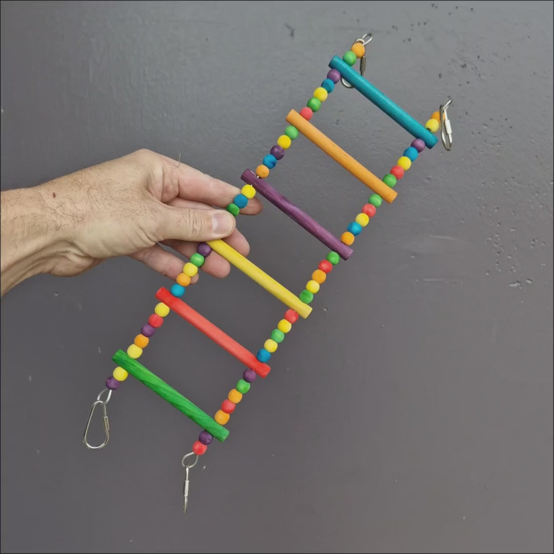 Cheeky Bird Rainbow Ladder