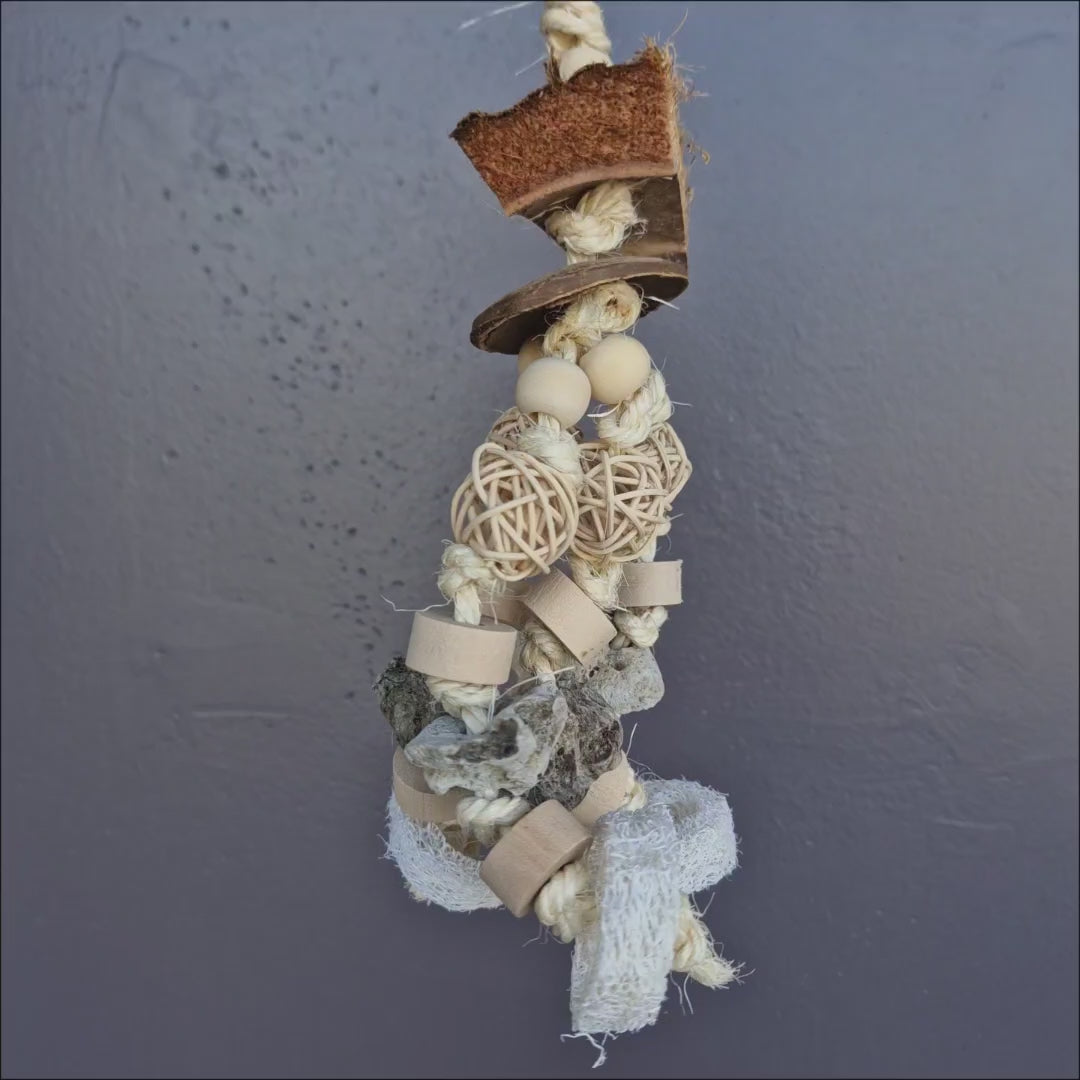 Pumice and Loofa Dangle bird toy for chewing and shredding