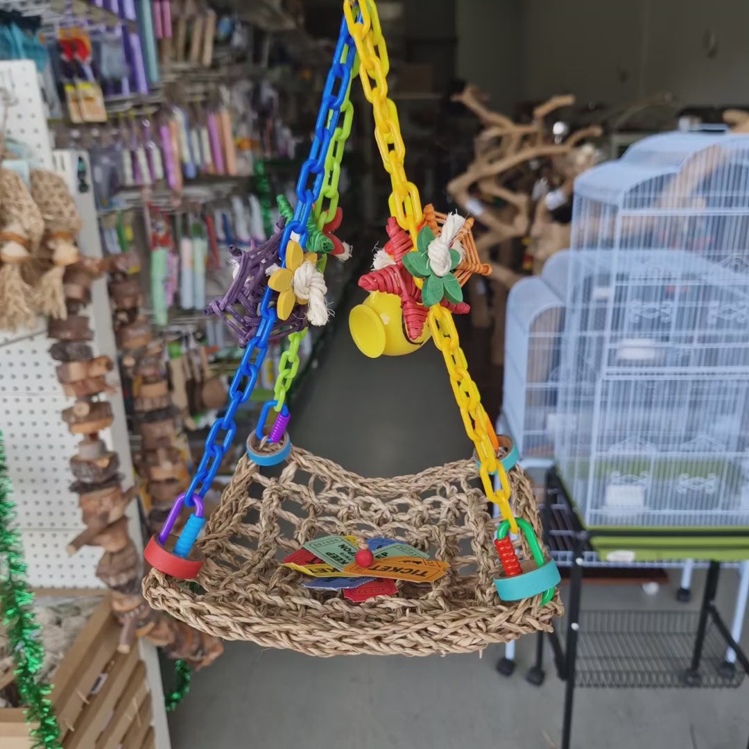 Carnival Hammock