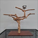 Java Tabletop Play Gym 828
