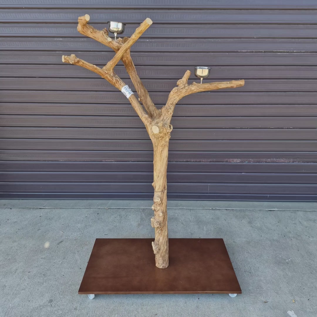 Java Floorstand Play Gym 803