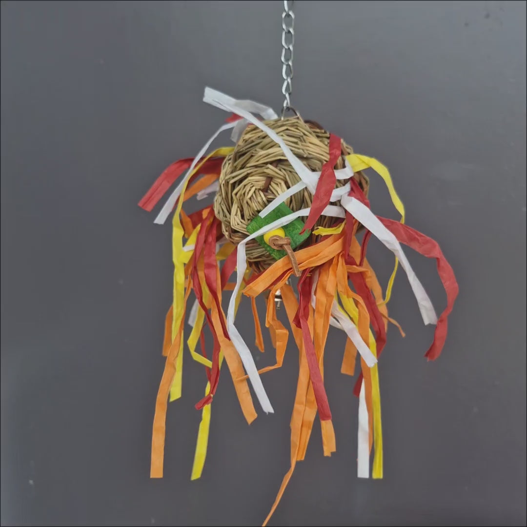 Seagrass Fireball Forager