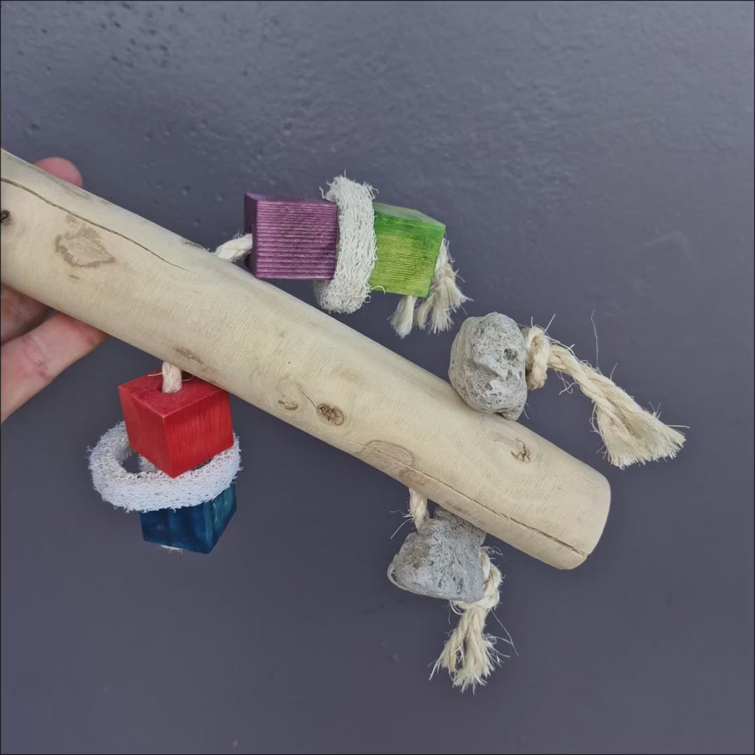 Java Pumice Play Perch – Java wood perch with pumice stones, coloured blocks and loofah, for medium to large birds