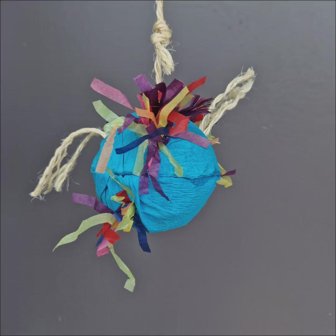 Pinata Parrot Egg