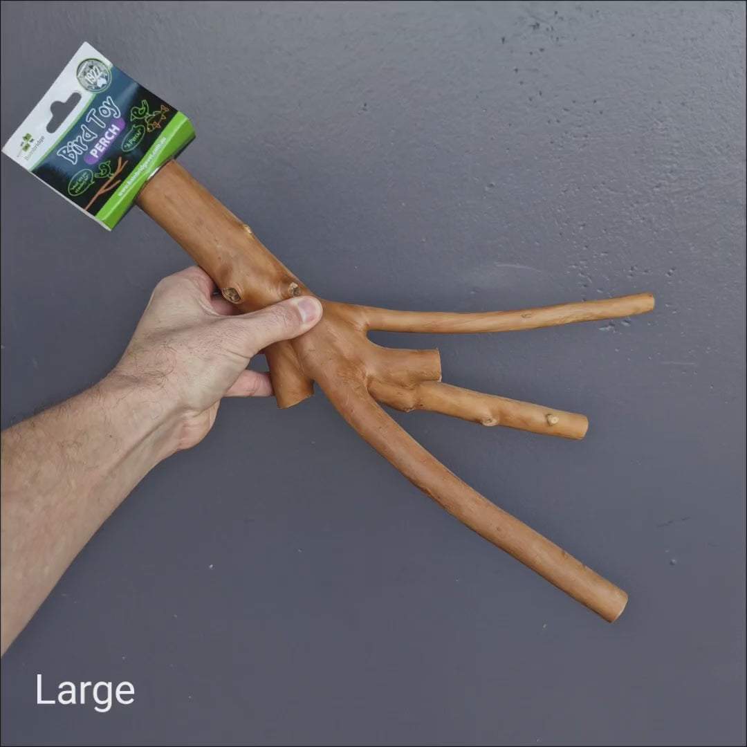 Bainbridge Multi Perch – wood perch for birds of all sizes