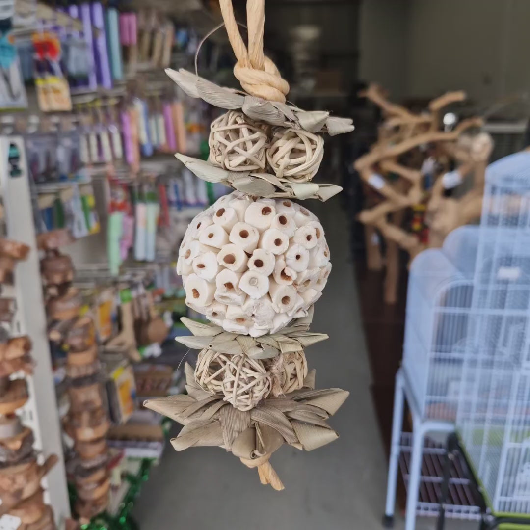 Avian Care Sola Sandwich