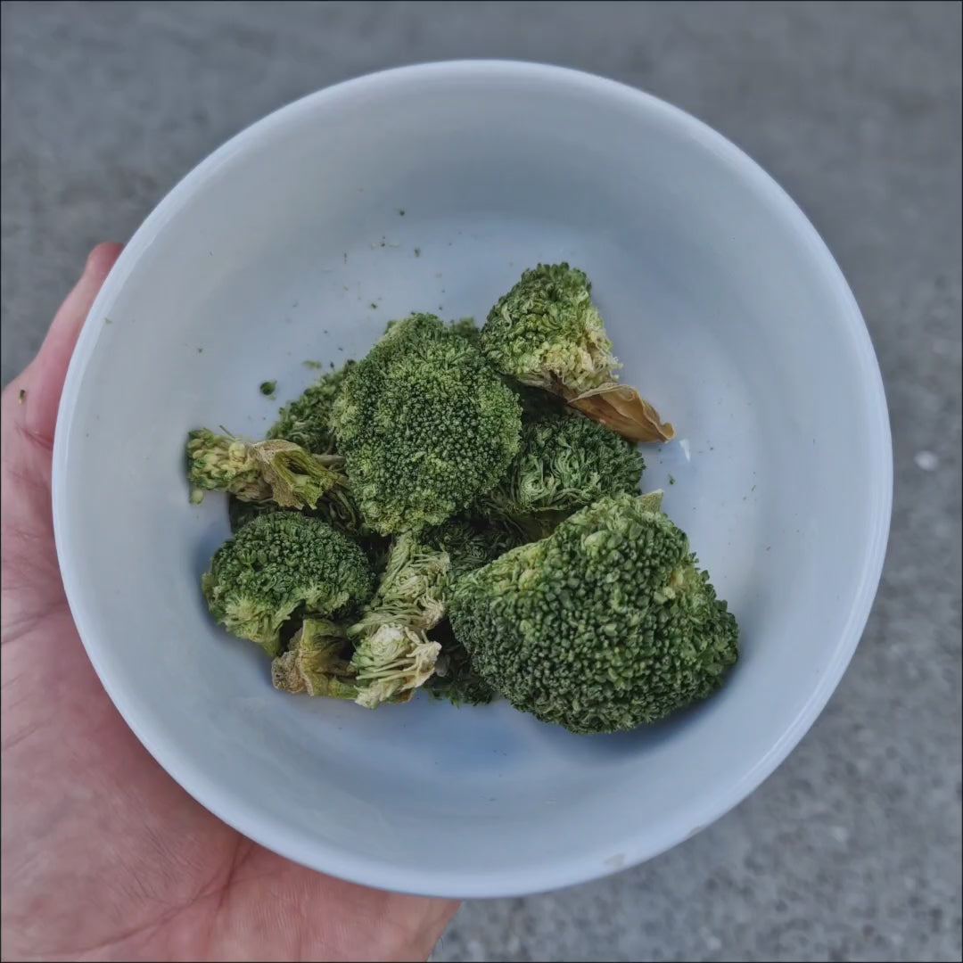 Little Cheeks Freeze Dried Broccoli 10g – freeze-dried bird treat for birds of all sizes