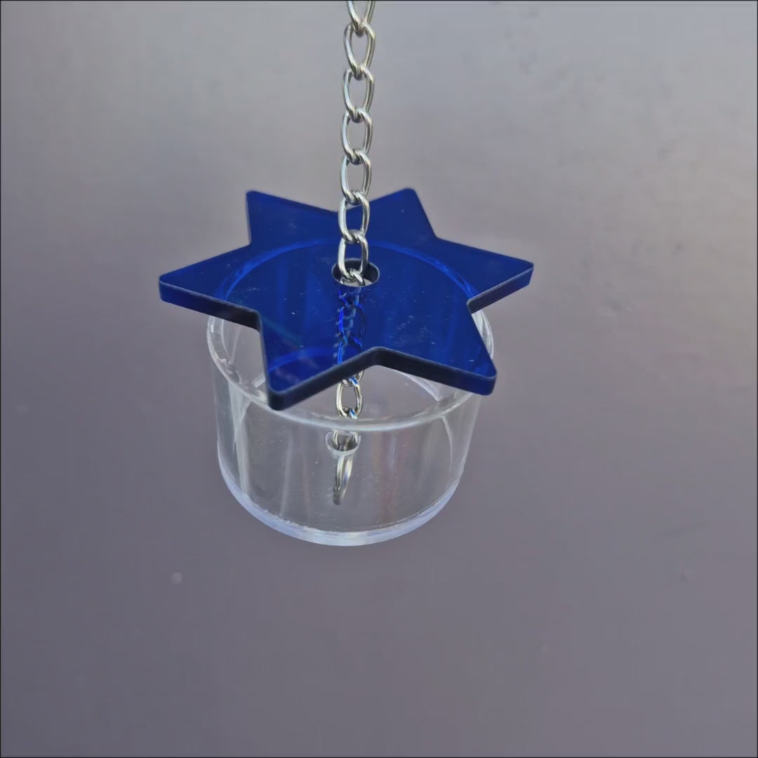 Star Foraging Cup