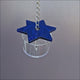 Star Foraging Cup