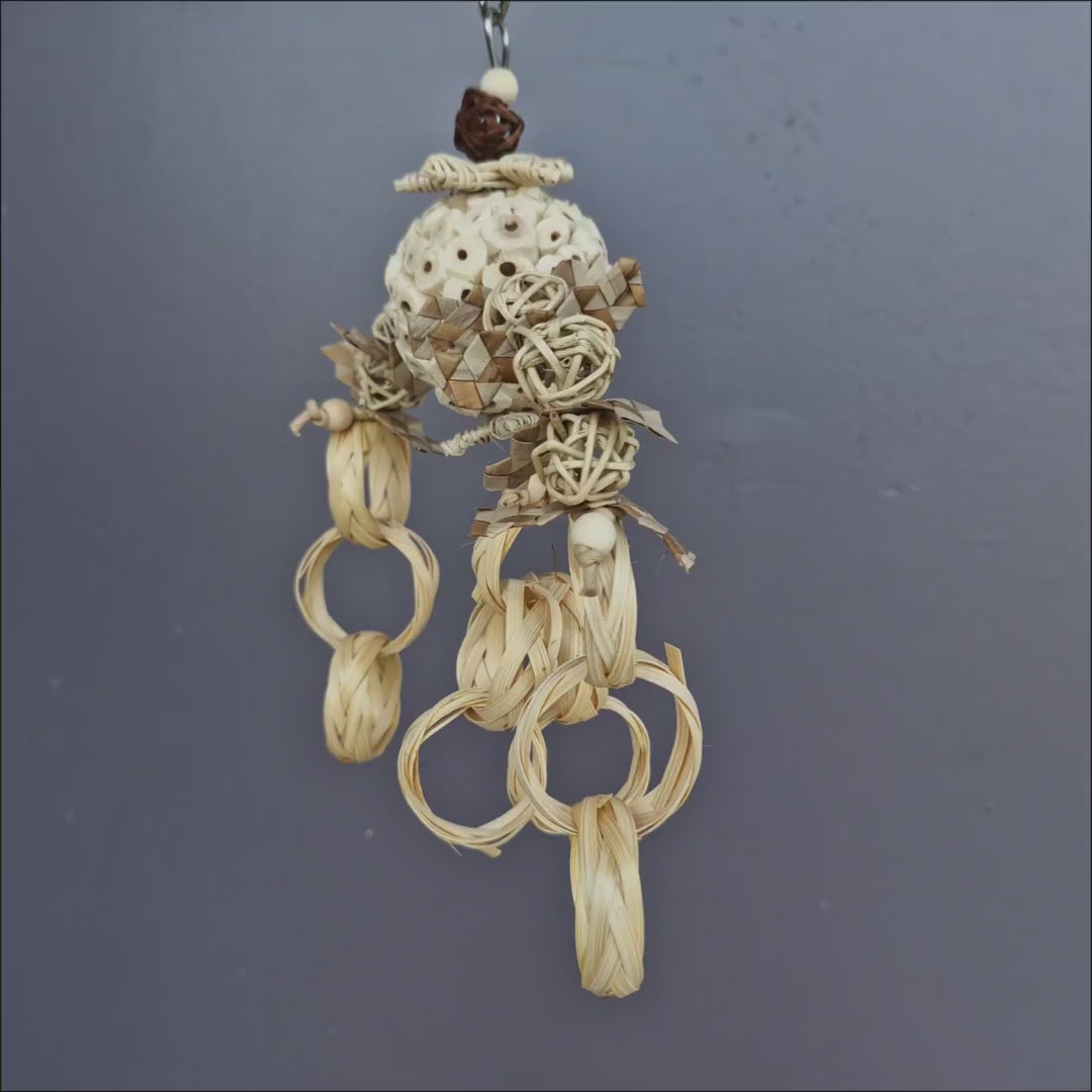 Chain Link Sola Nibbler