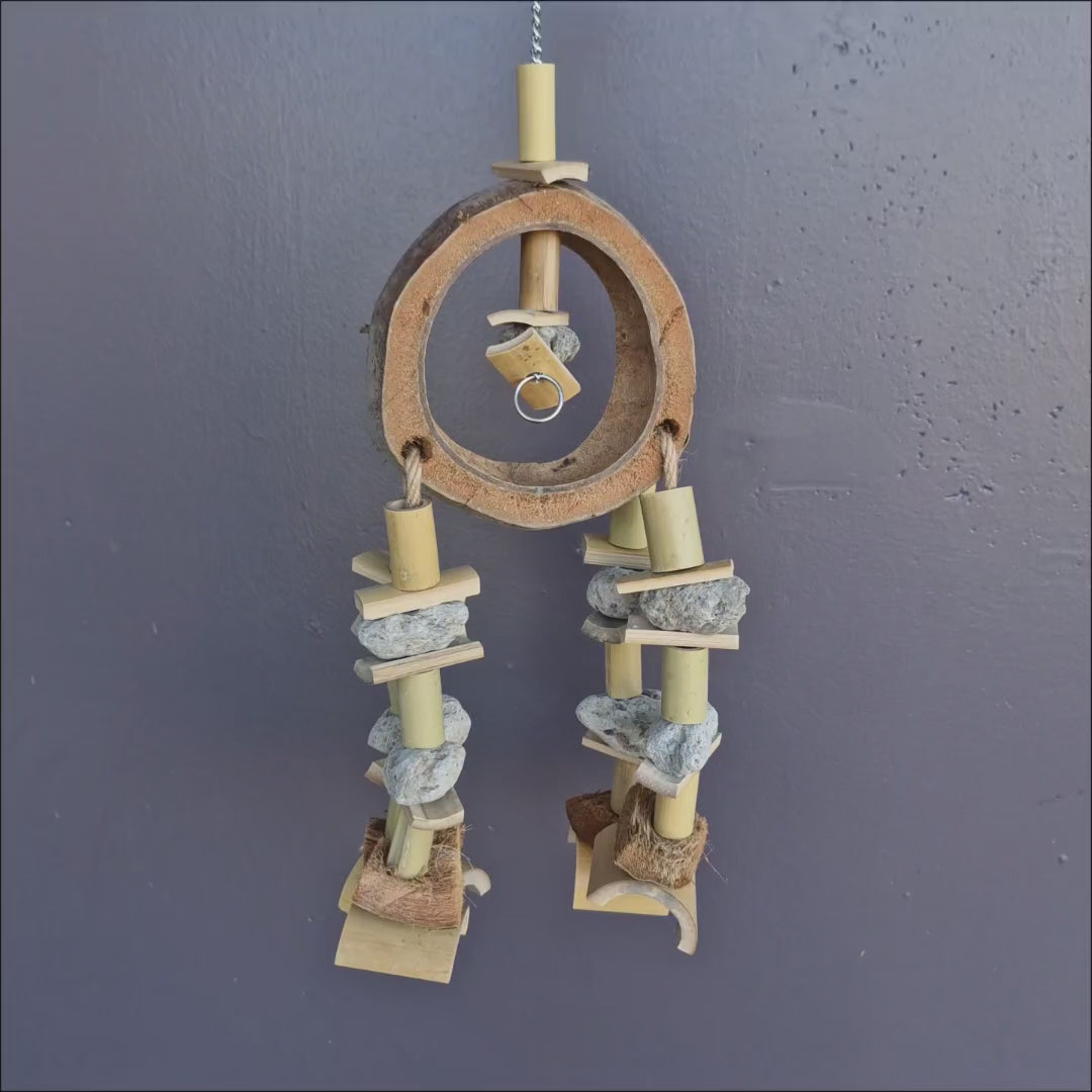 Coconut ring bird toy with hanging pumice chew pieces