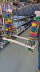 Mega Parrot Swing and Play