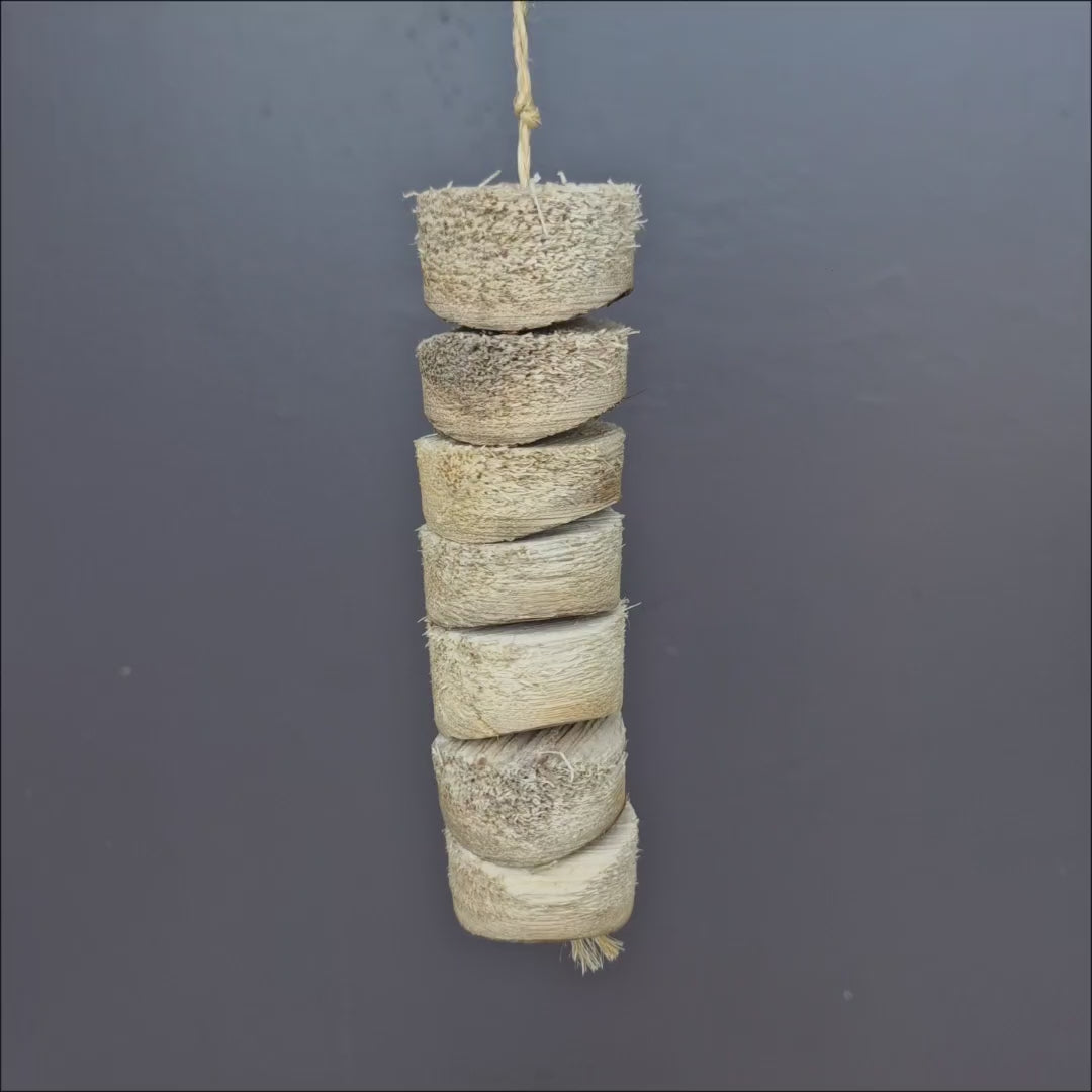 Yucca Slices Kabob Chew