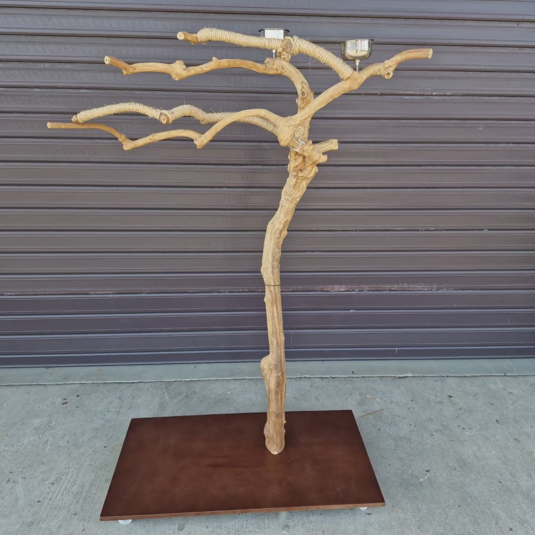 Java Floorstand Play Gym 797