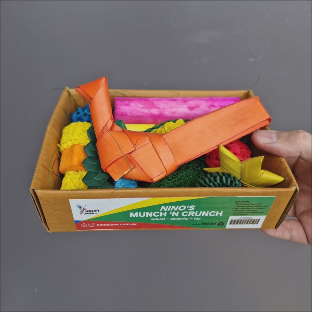 Ninos Munch N Crunch Forage Box