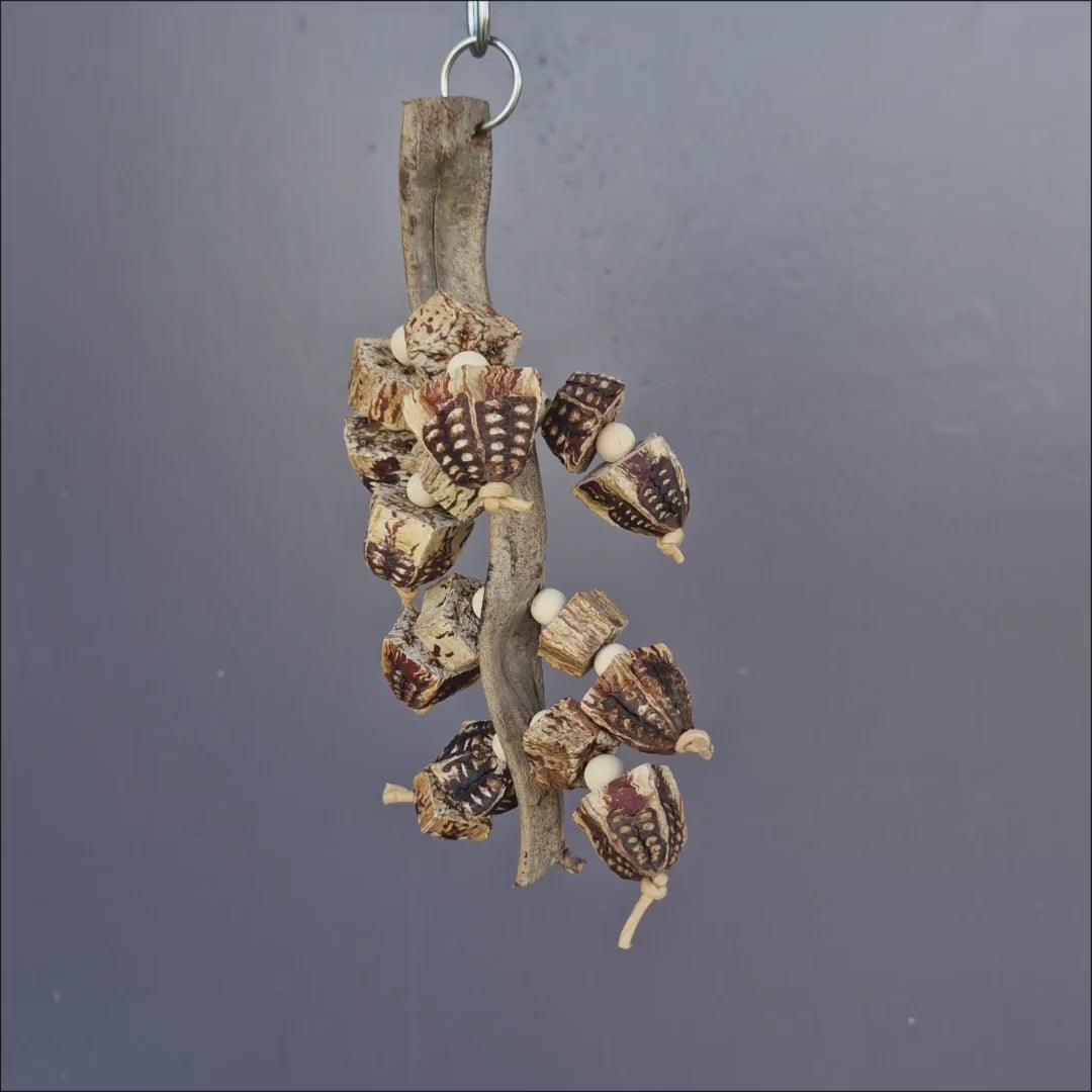 Mahogany Harvest Dangle