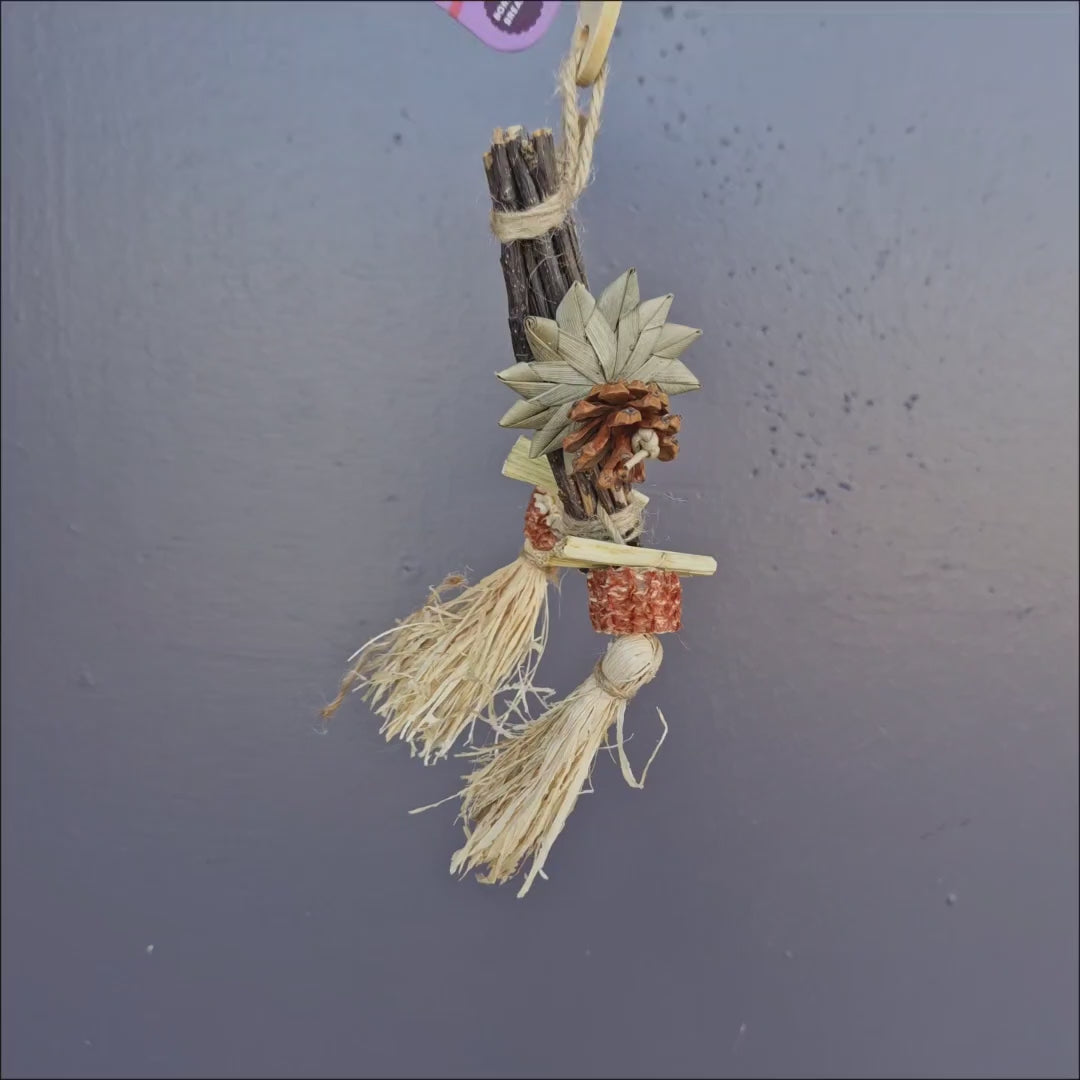 Tiny Chew Drop – hanging apple stick, palm leaf and pinecone chew toy for budgies, cockatiels and other small birds