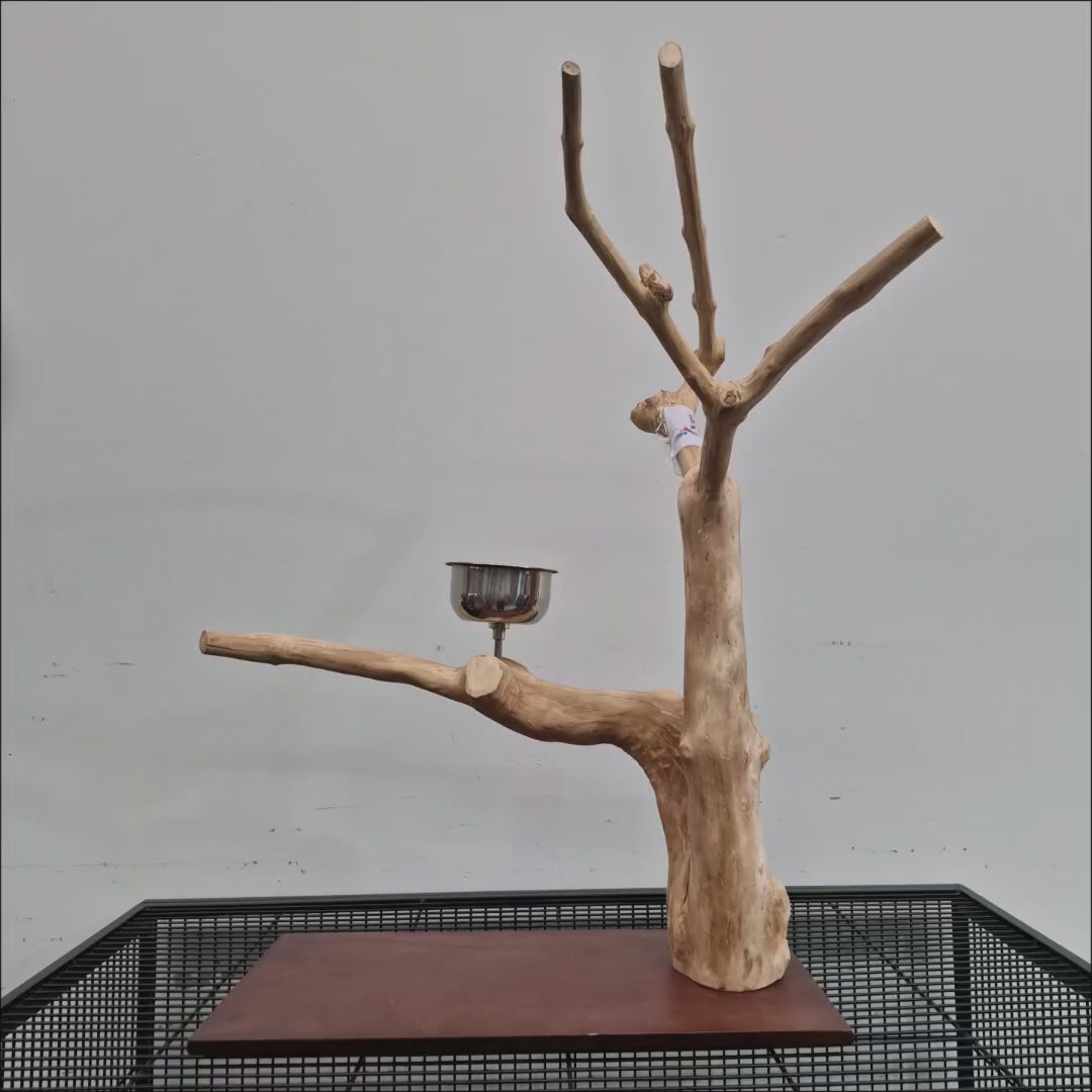 Java Tabletop Play Gym 824