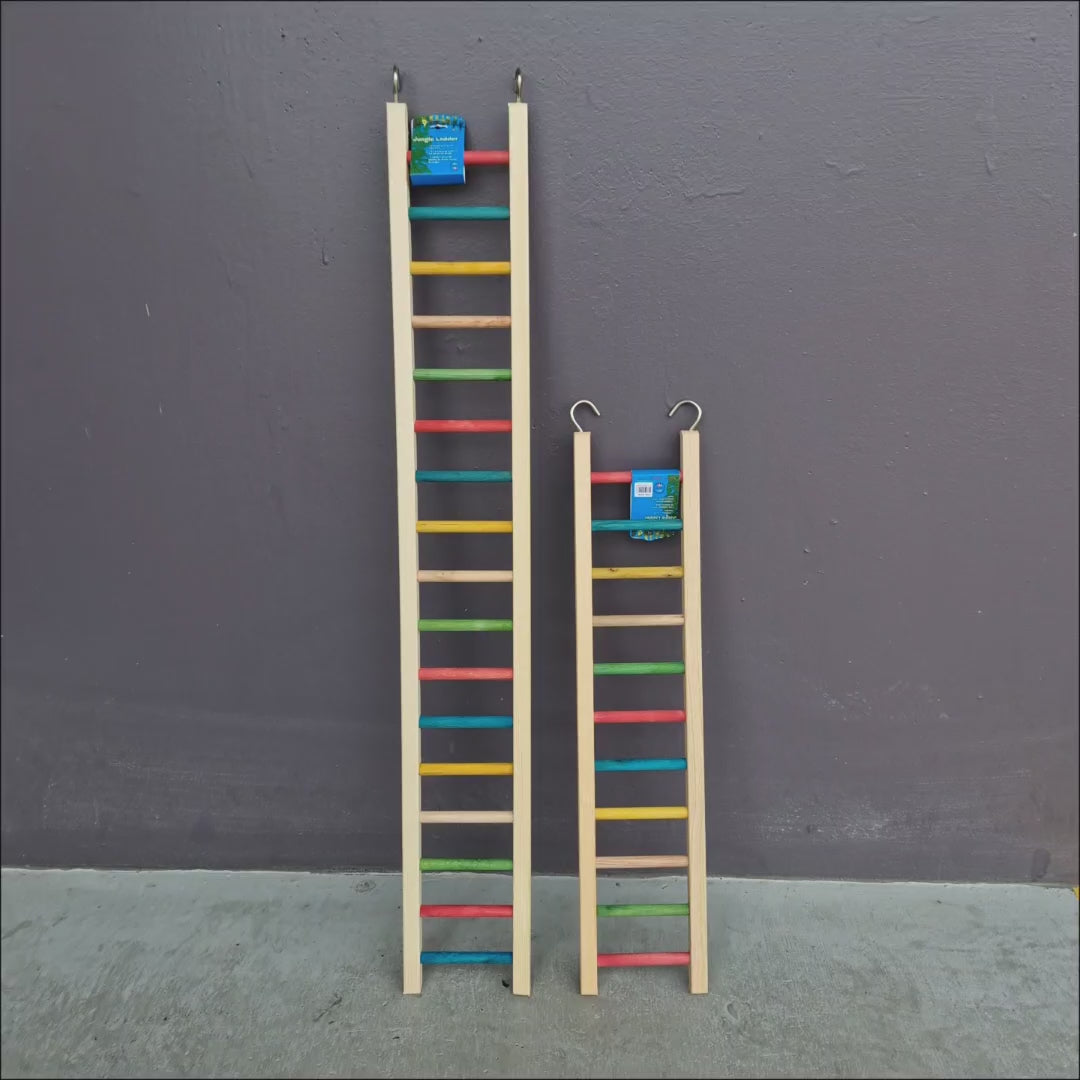 Giant Jungle Ladders