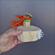 Raffia Platform for parrots made with natural raffia for climbing, perching and shredding