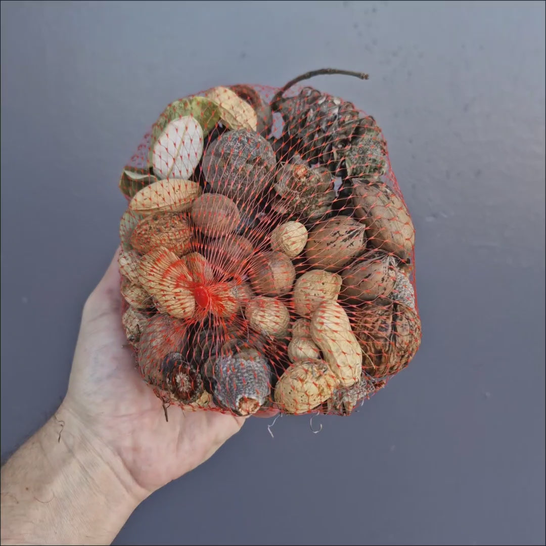 Natural Foraging Material - Australian native banksia, gumnut and nut foraging mix for birds