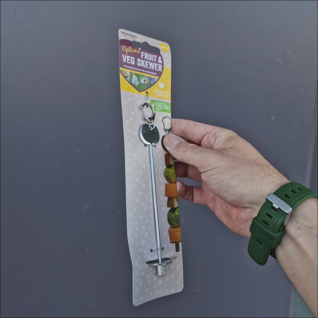 Fruit and Veggie Skewer