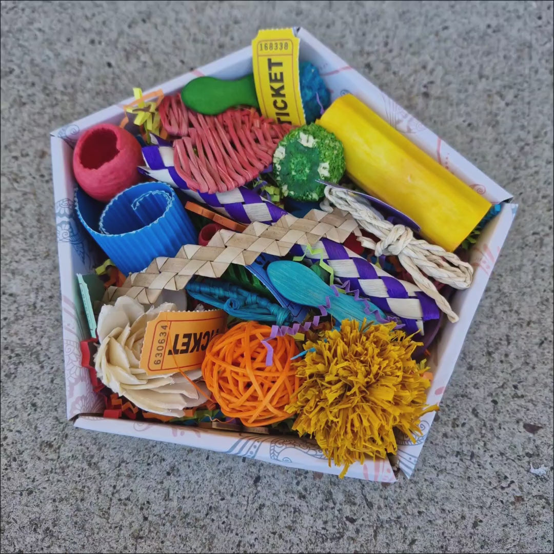 Happy Wings Forage Box