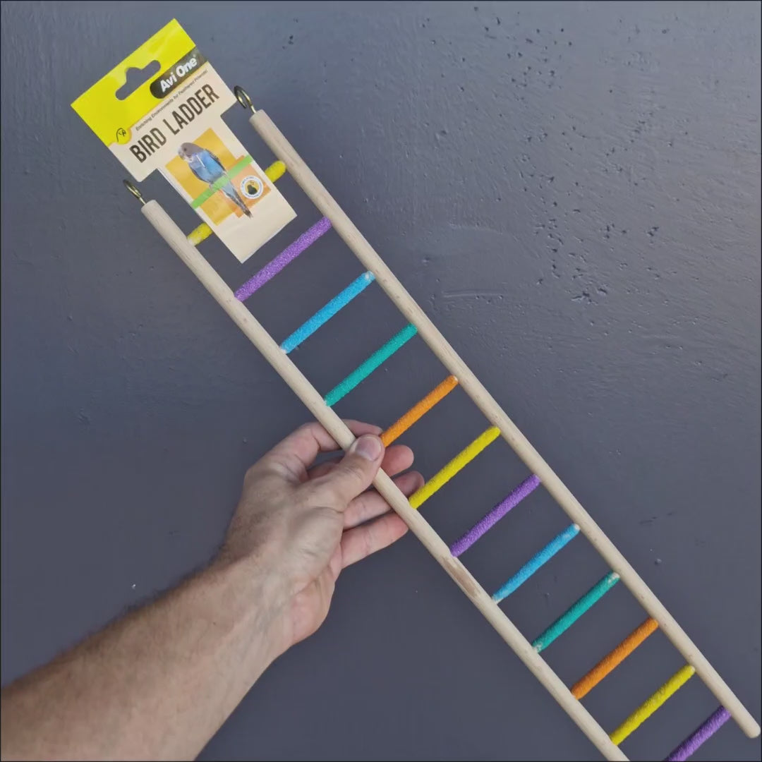 Large colourful grit ladder perch for pet birds