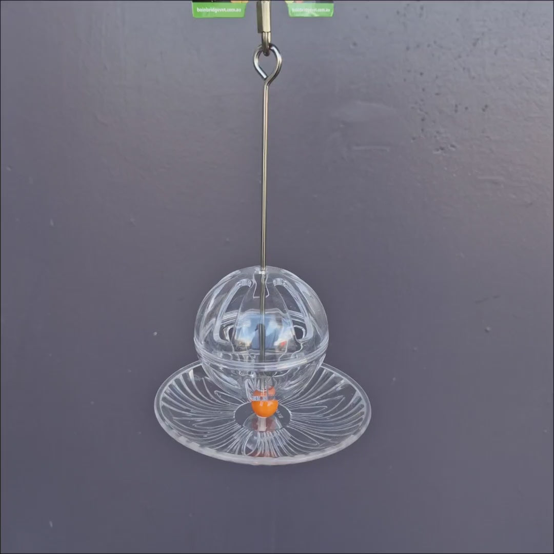 Foraging Buffet Ball and Catch Bowl