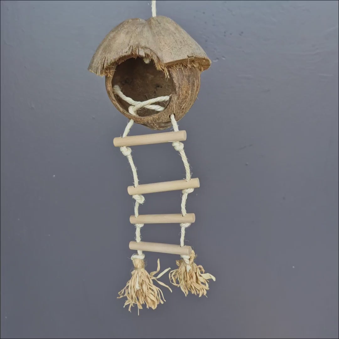 Coconut Hut and Ladder