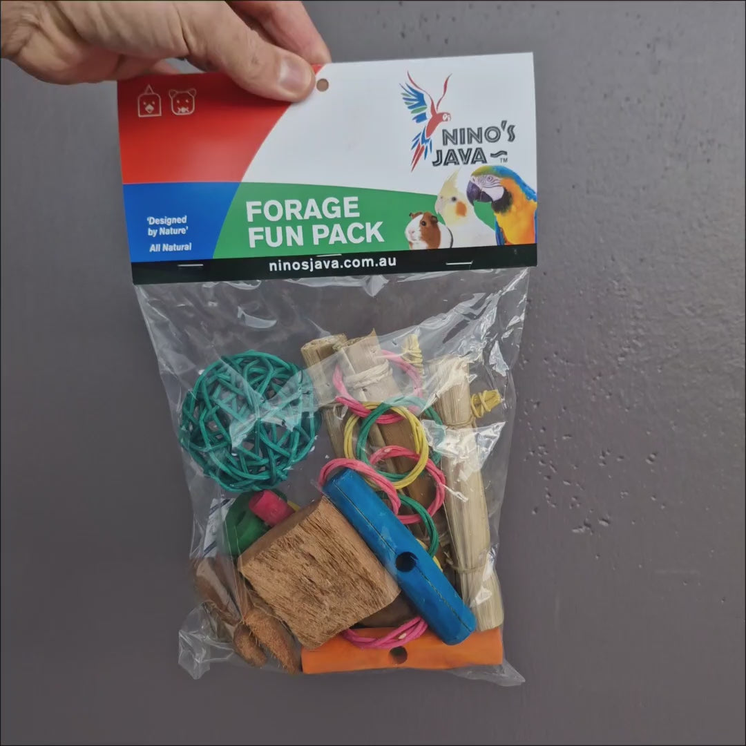 Forage Fun Refill