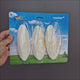 Percell Cuttlefish 3pk, three 15cm natural cuttlebones as a calcium source for birds