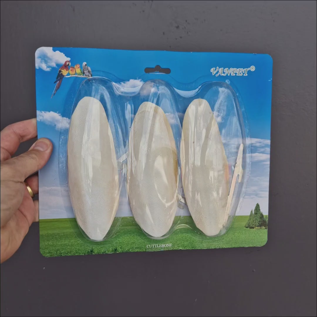 Percell Cuttlefish 3pk, three 15cm natural cuttlebones as a calcium source for birds