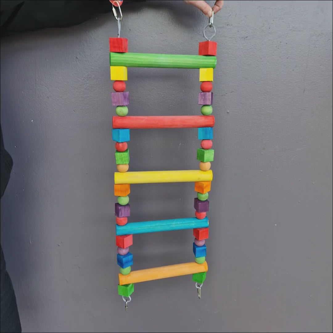 Cheeky Bird Big Ladder showing the full wooden ladder, colourful rungs and clips at each end