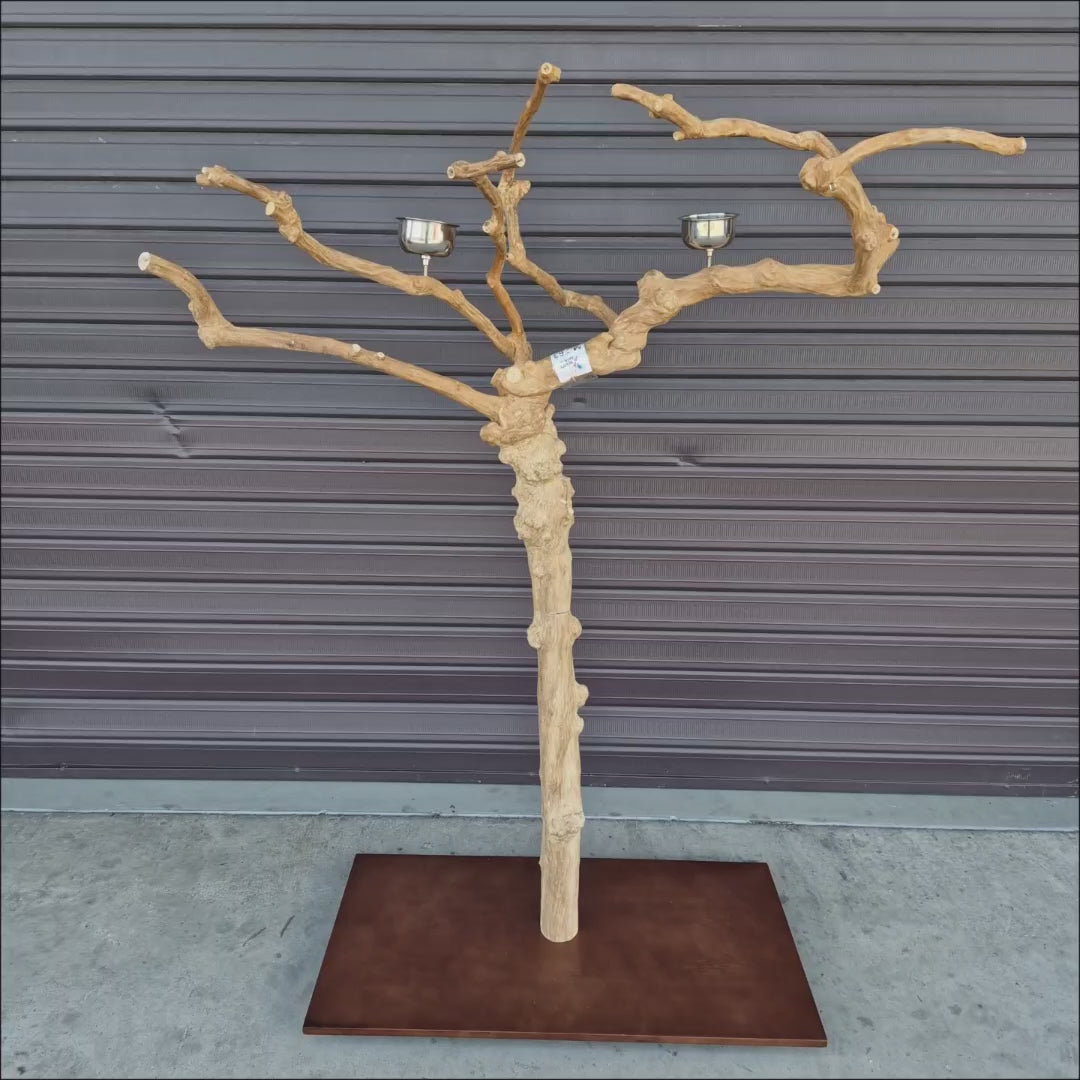 Java Floorstand Play Gym 763