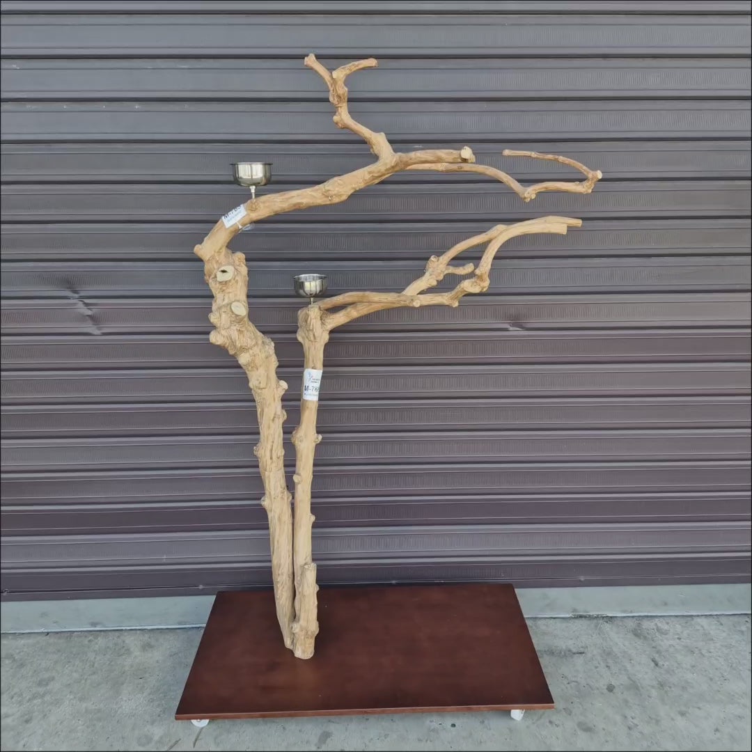Java Floorstand Play Gym 765