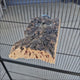 Natural Cork Platform Perch