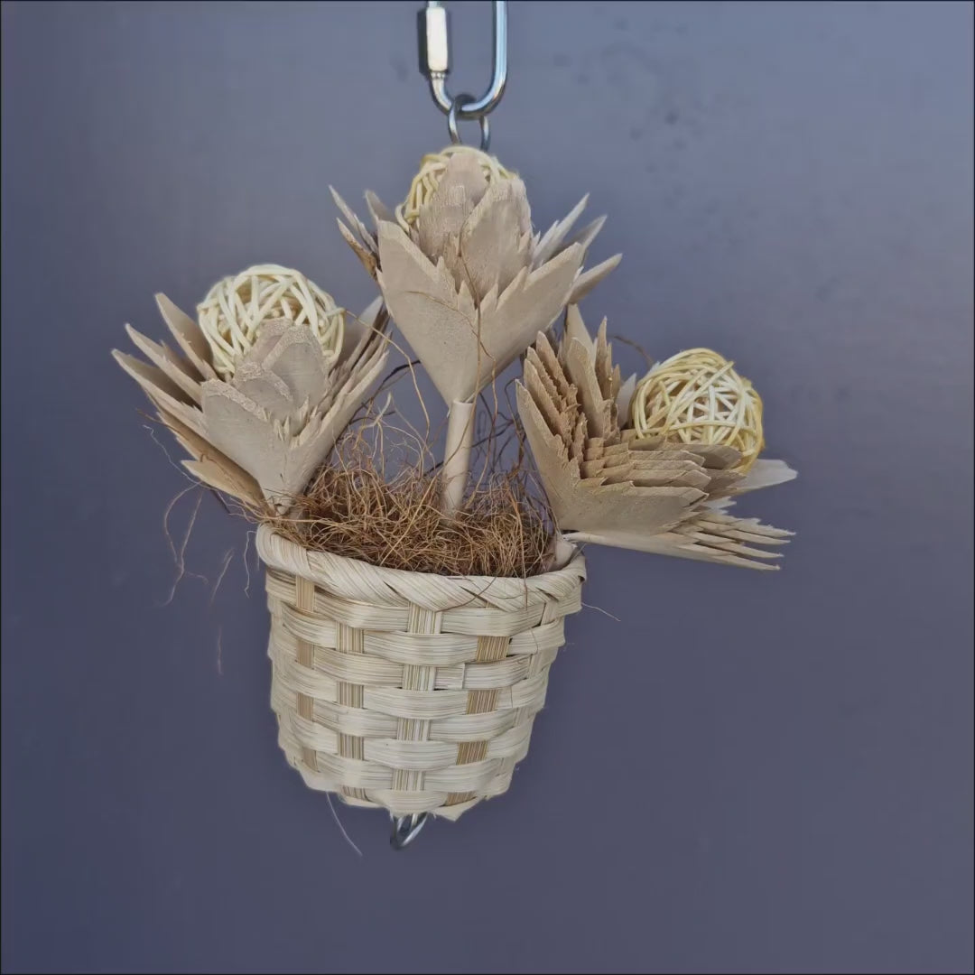 Daisy Flower Pot