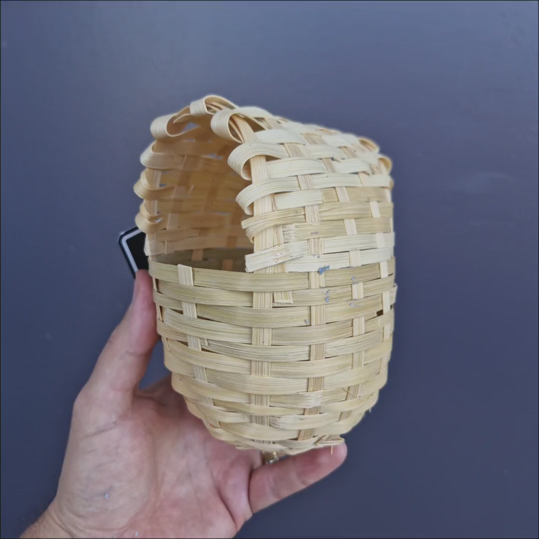 Natural cane finch nests for nesting and shelter