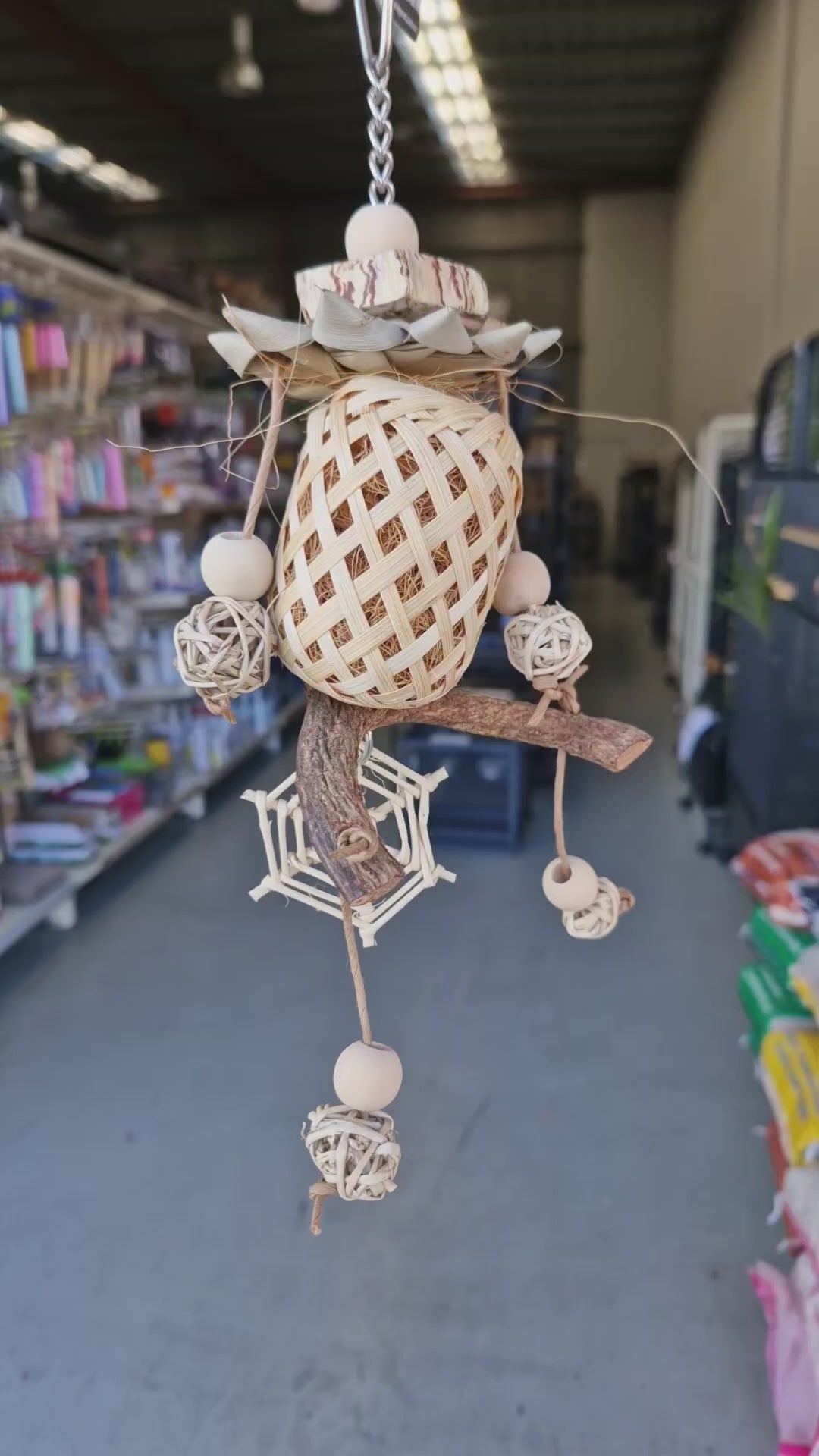 Web and Shell Lantern