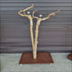 Java Floorstand Play Gym 766