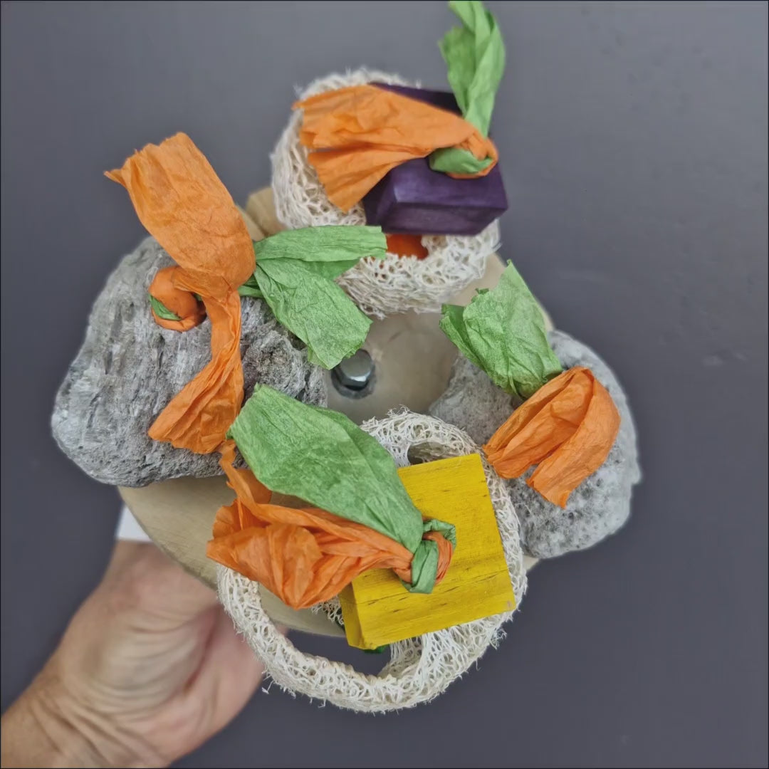 Java Wheel Percher bird toy with natural wood perching areas