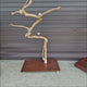 Java Floorstand Play Gym 764, hand crafted java wood parrot play stand