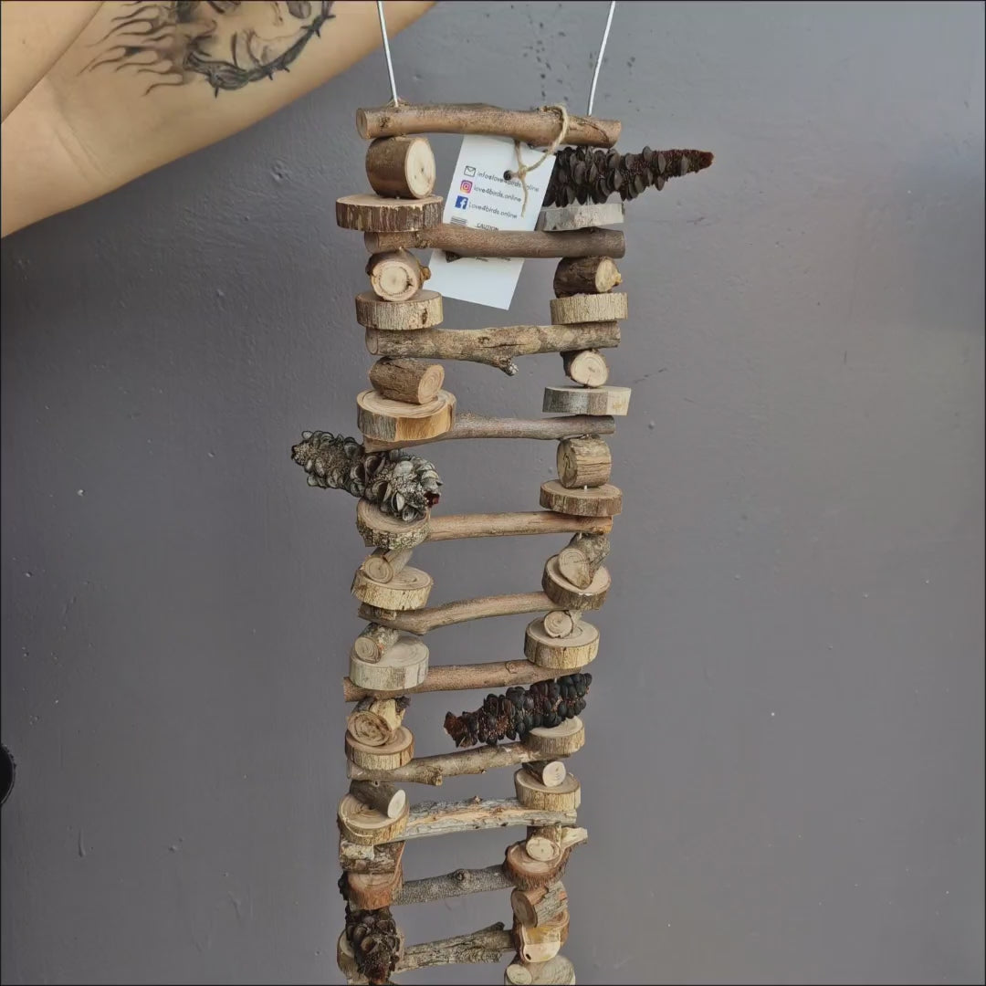 Aussie Bush Ladder showing natural wood rungs, Paperbark and Banksia seed pods