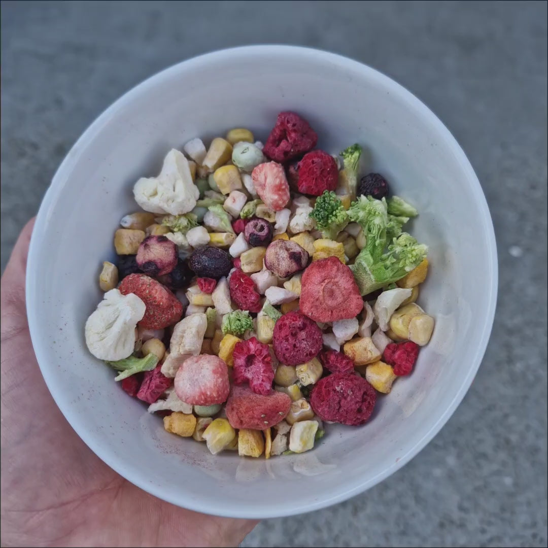 Beak Joy Freeze Dried Seasonal Fruit and Vegetables 30g – freeze-dried bird treat for birds of all sizes