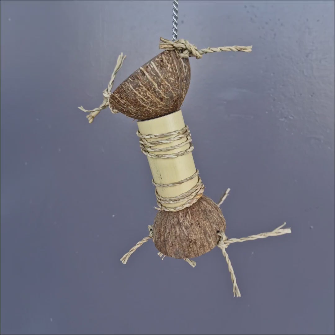 Bamboo Explorer