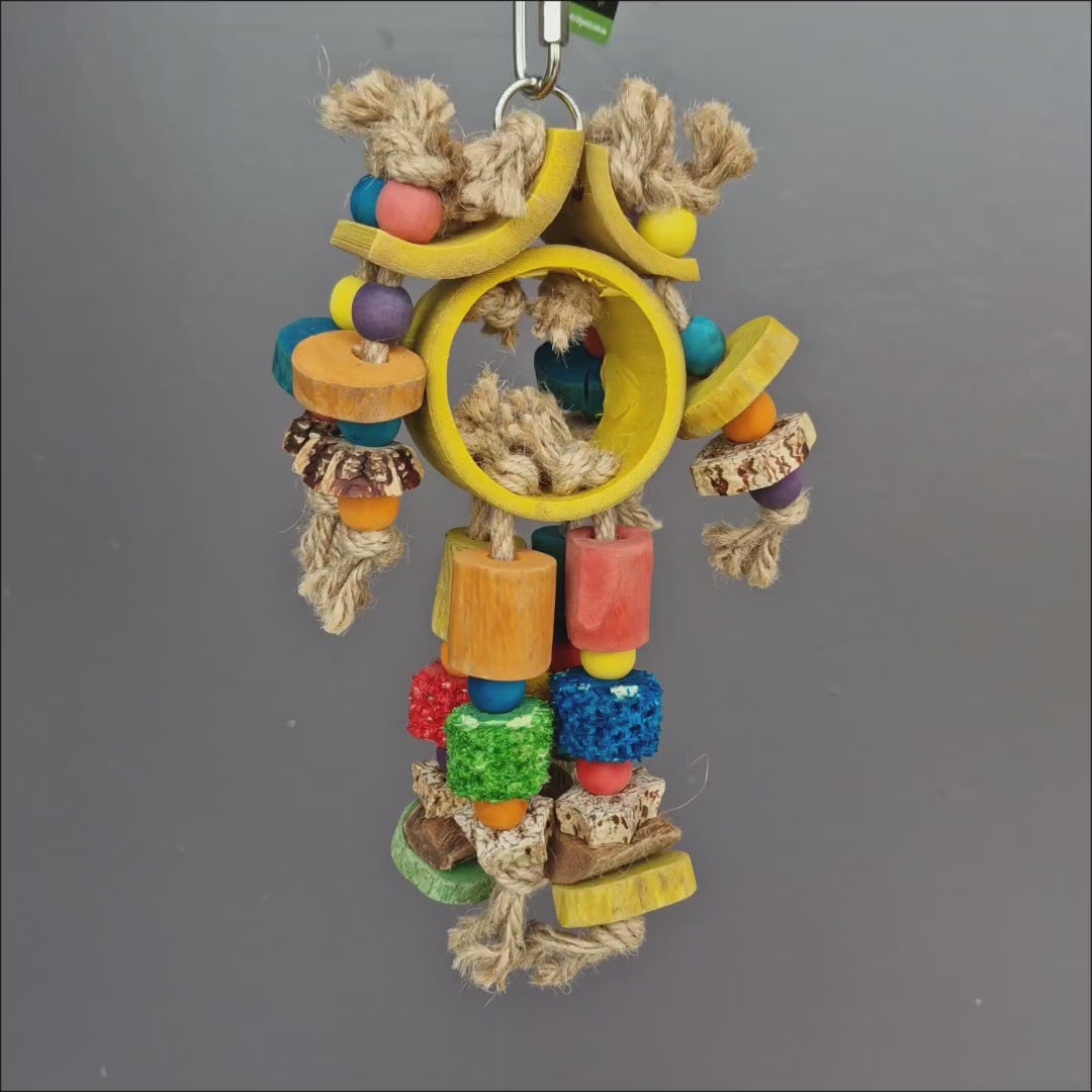 Cluster Robot