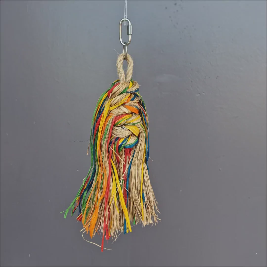 Parrot Plucker Preener